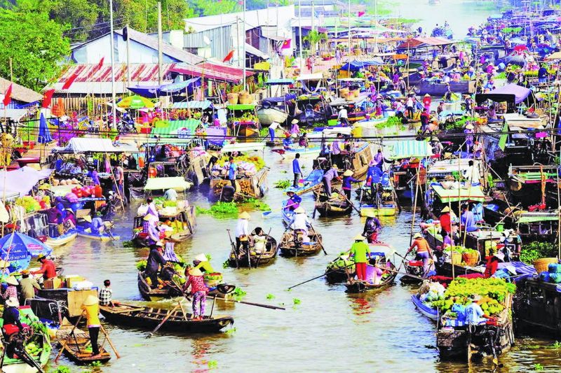 Tour Bến Tre – Mỹ Tho – Cần Thơ – Cồn Sơn 2 Ngày 1 Đêm